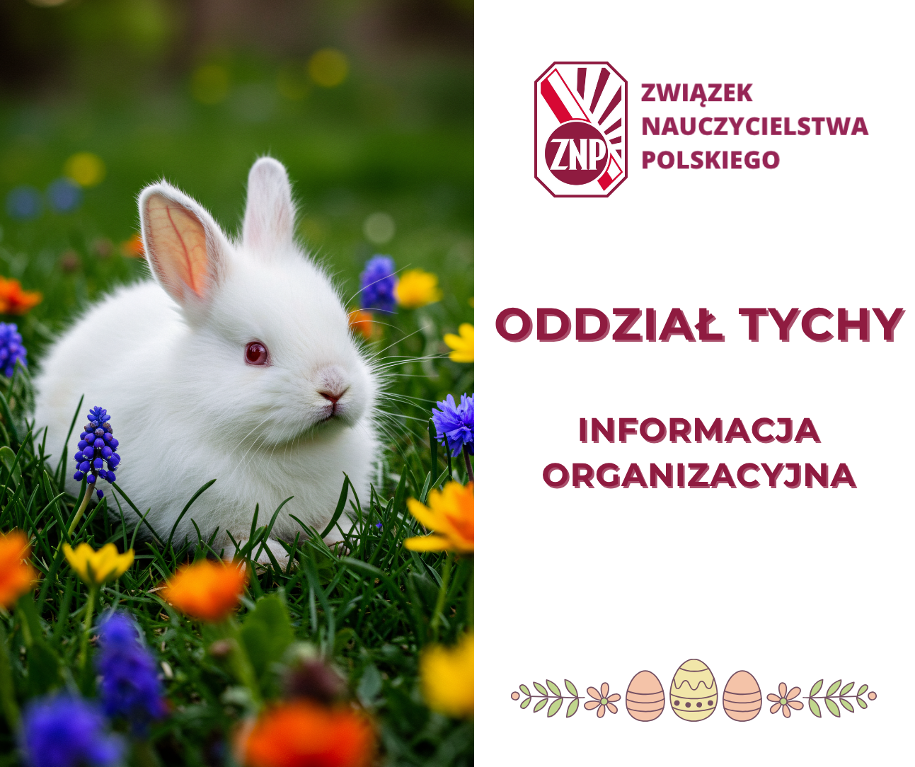 Informacja ZNP Tychy